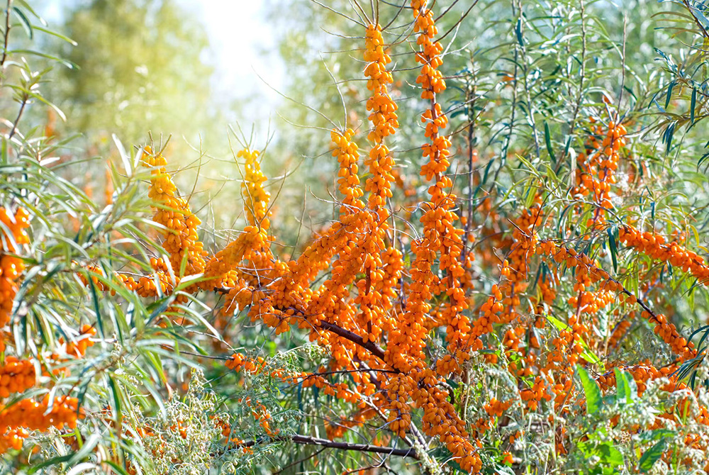 1691649341816820.jpg 01.jpg