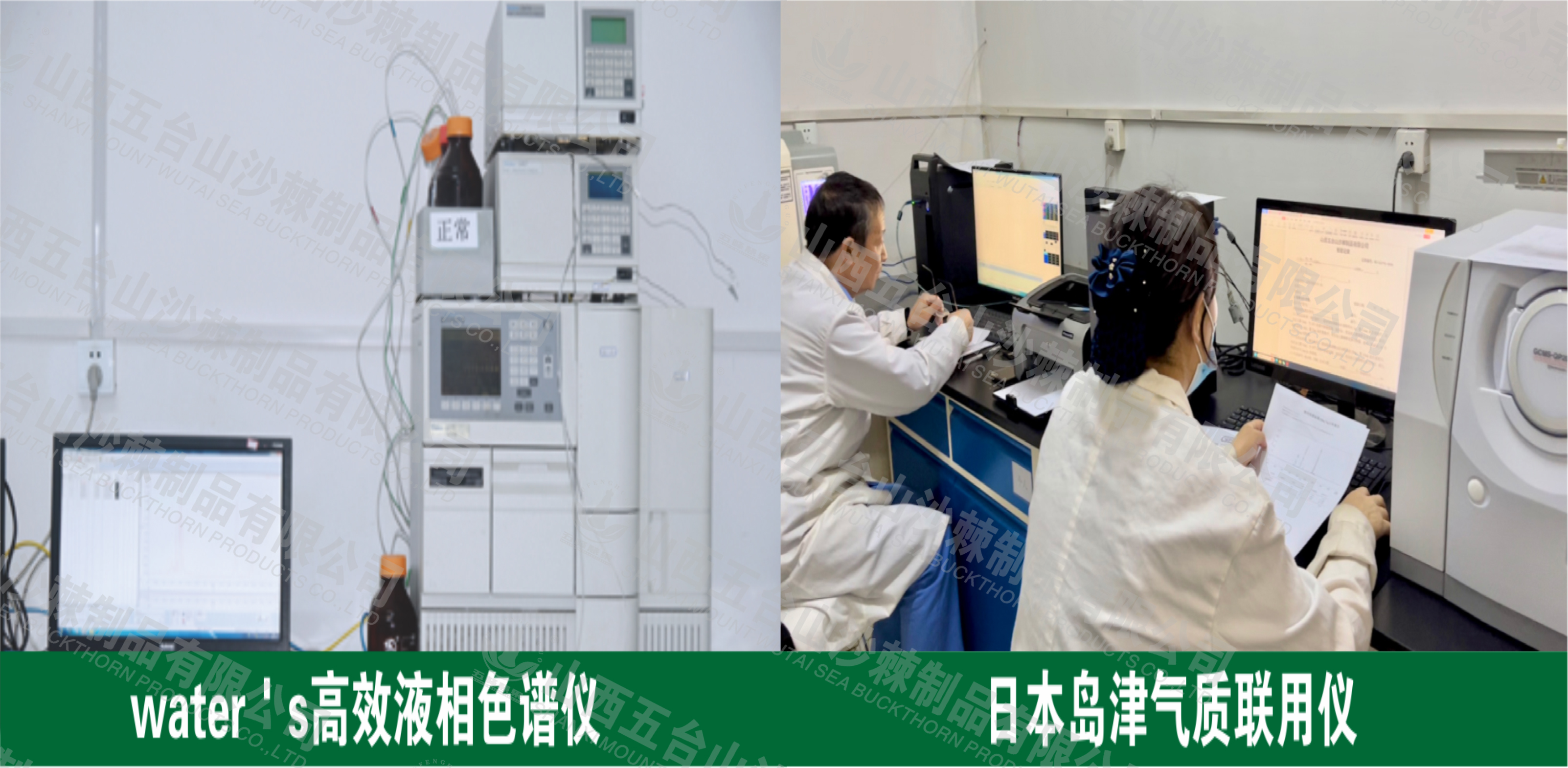 1692322045153225.jpg 化验检验优势.jpg