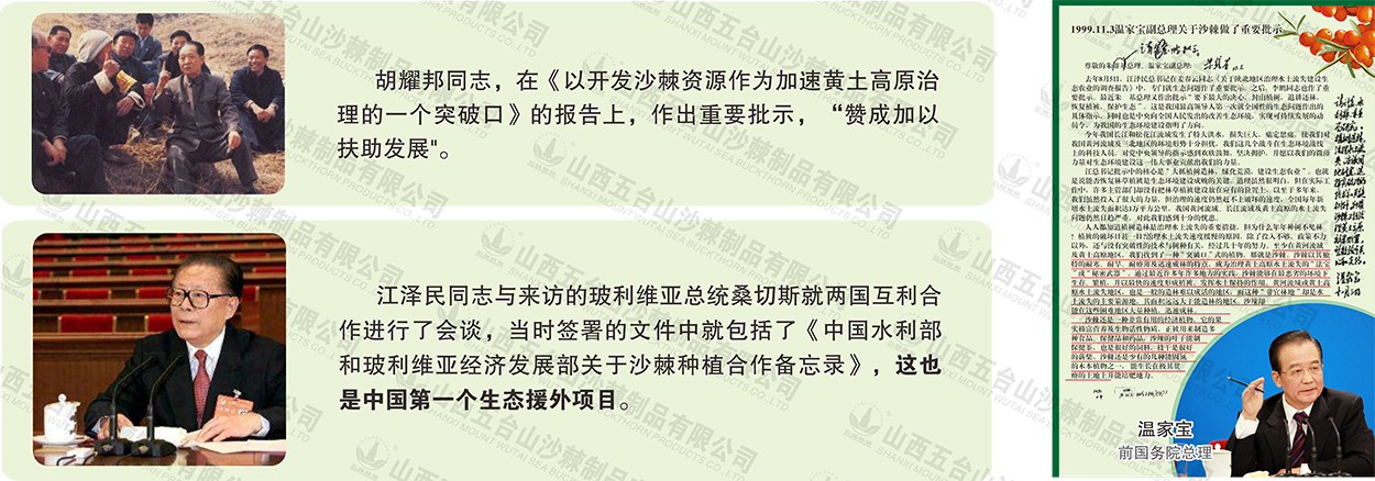 1692328179358468.png 生态领域01.png