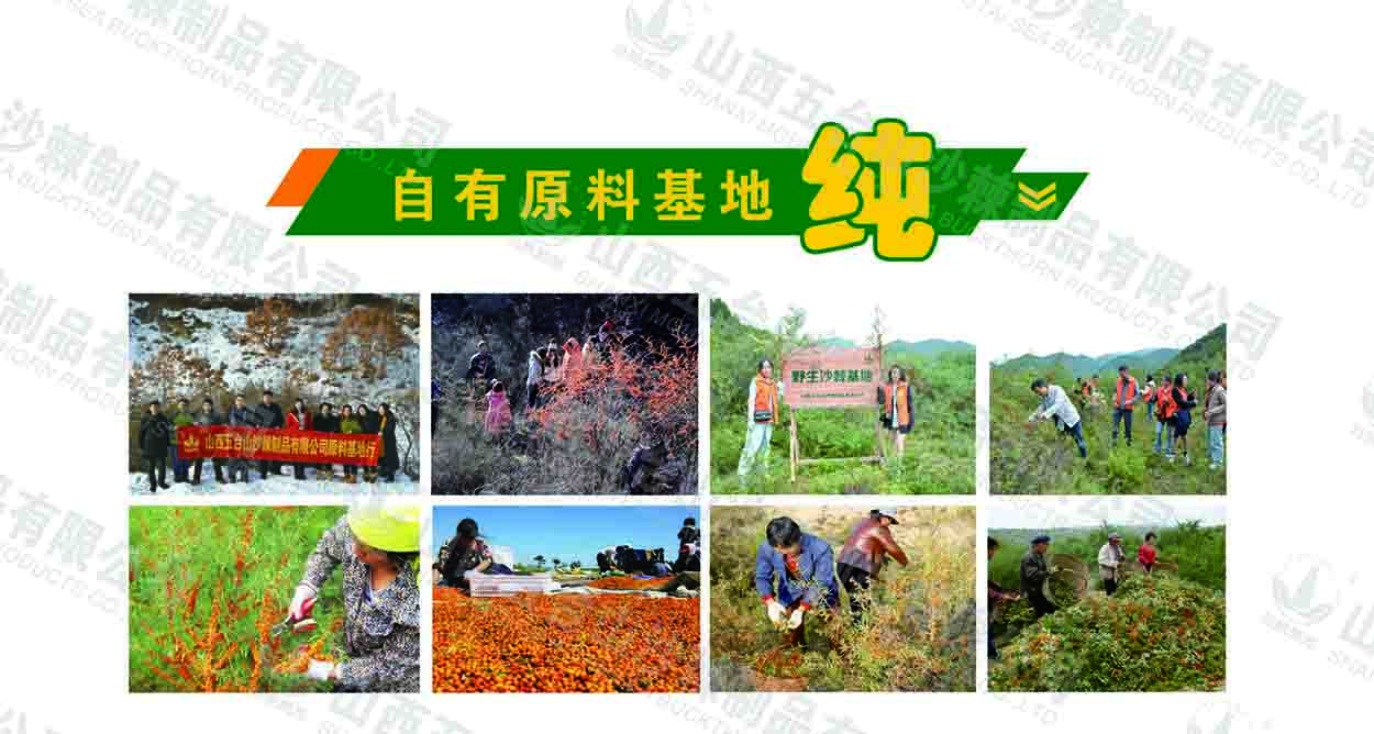 1704354431164100.jpg 自有原料基地.jpg