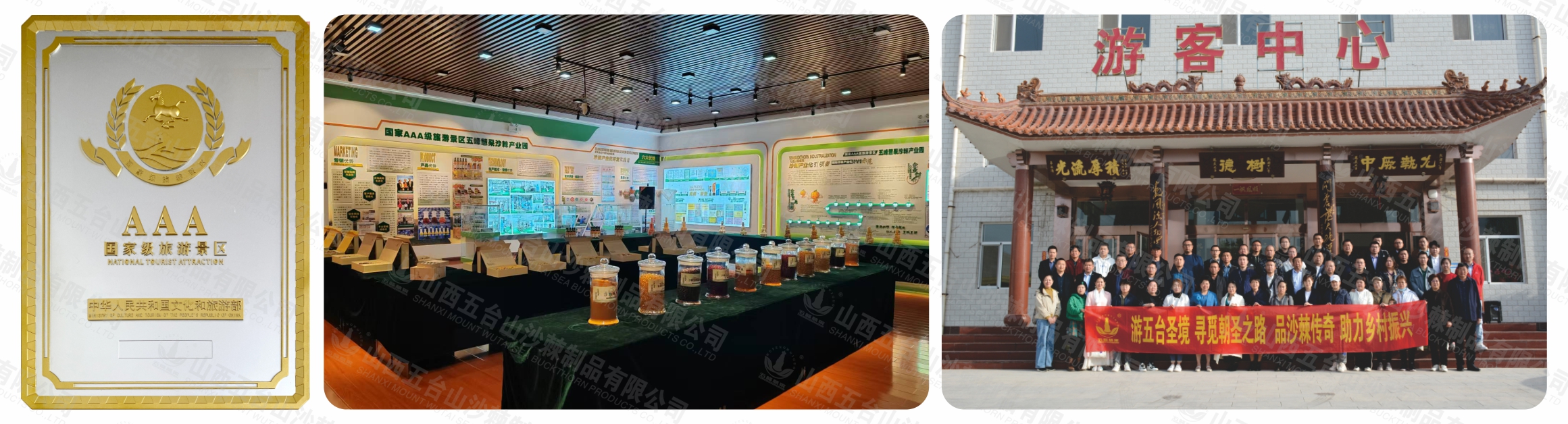 1730341503773681.jpg 222.jpg