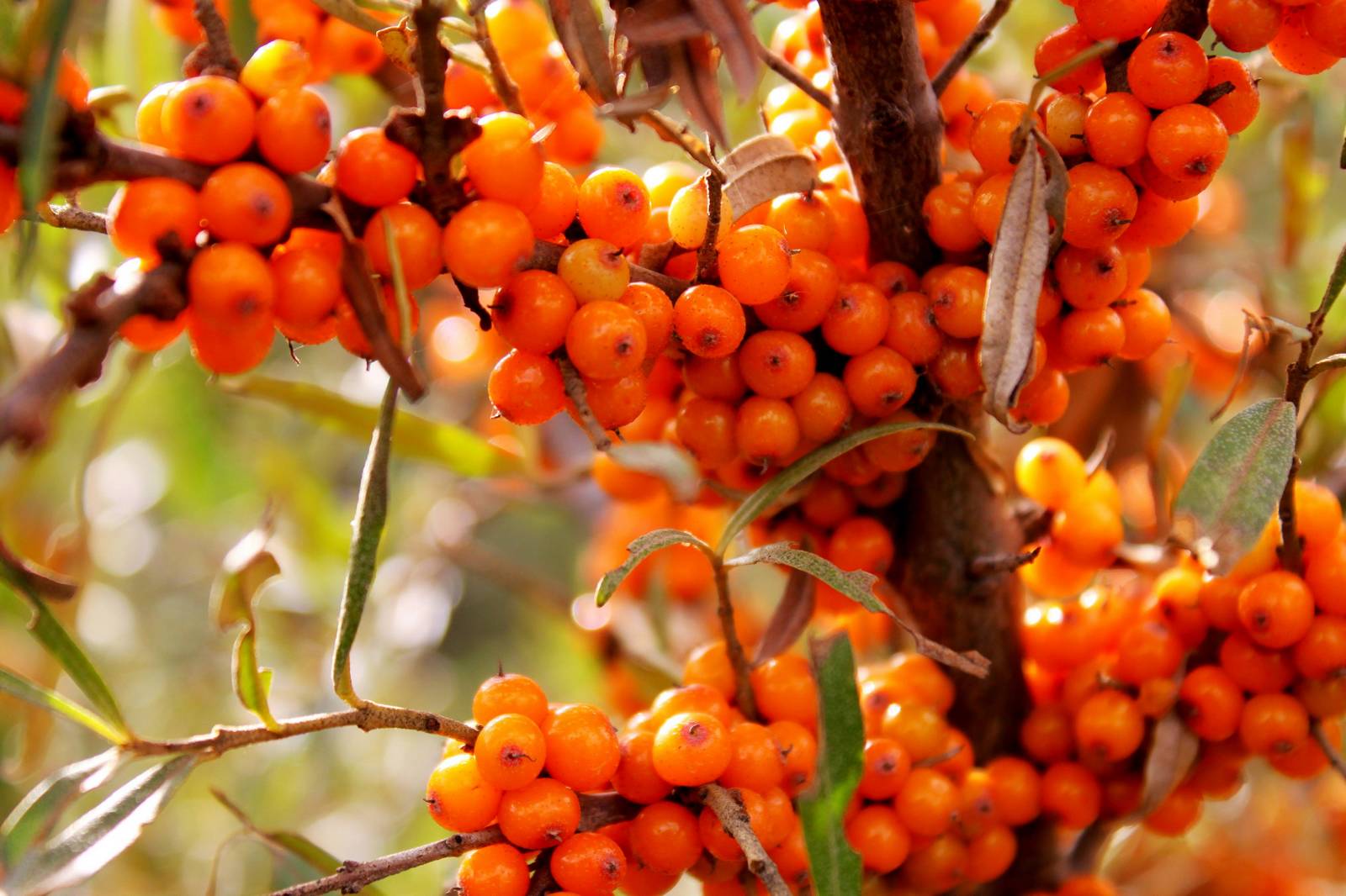 1745377392928974.jpg 微信图片_20240612103114.jpg